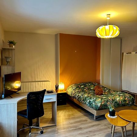 Charmant Studio De 50 M2 Шомон Екстериор снимка