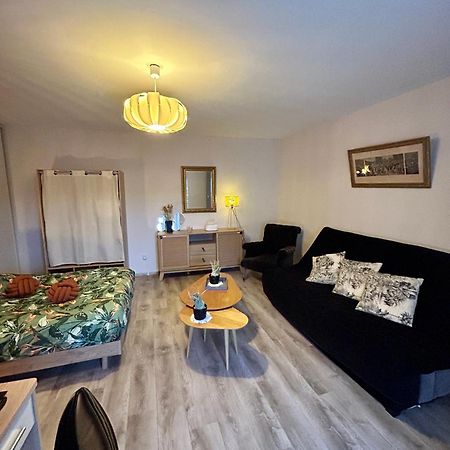 Charmant Studio De 50 M2 Шомон Екстериор снимка