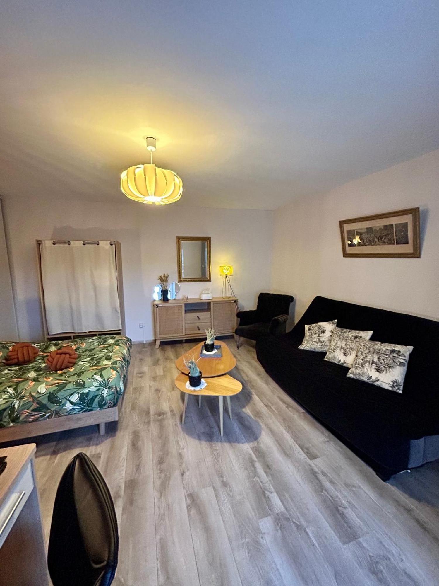 Charmant Studio De 50 M2 Шомон Екстериор снимка